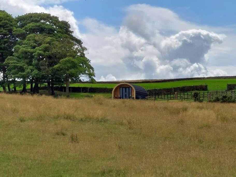 High Whashton Springs Glamping Pod, Richmond Yorks Lägenhet Exteriör bild